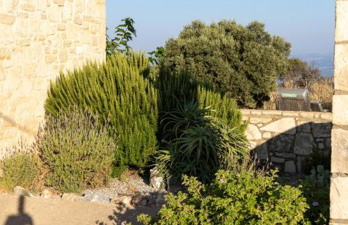 Villa Gerrito - Photo 74