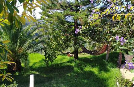 Casa Loureiro - Vista Rio Douro - Foto 35