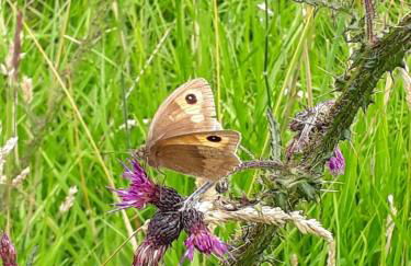 Bijou Cottage in Brontë Country with Wood-burning Stove & Hot Tub Spa - Foto 44