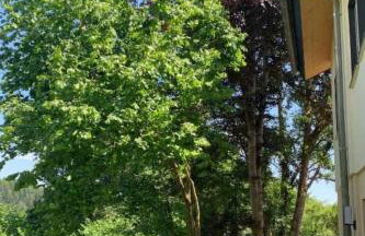 Apartment Fewo Am Sommerberg by Interhome - Foto 16