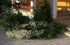 Apartment Marta - Photo 16