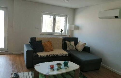 zélu apartamento centro da Guarda - Foto 10