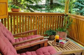 Bieszczadzki Rewir - Foto 11