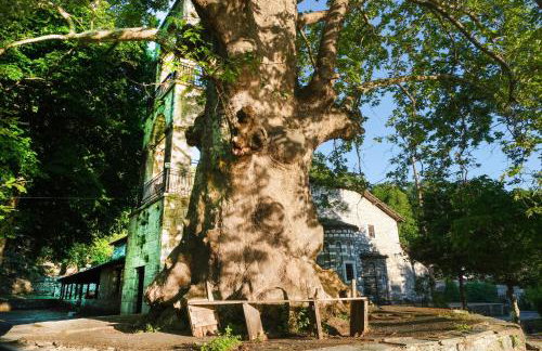 A Dream Deferred villa Pelion - Photo 55