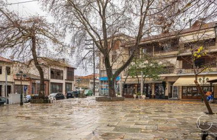 Guest House Siatista - Foto 42