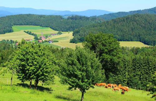 Richterhof Wellness Apartments Bayerischer Wald - Foto 43