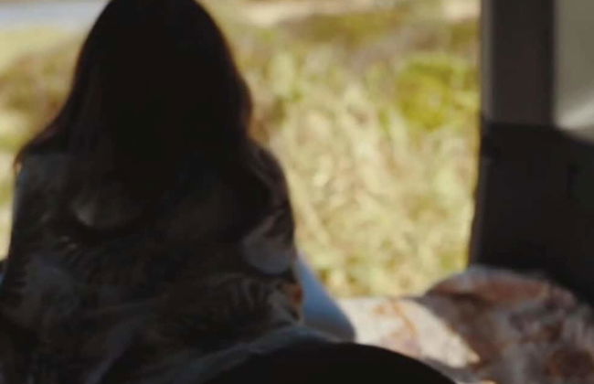 Self Service Camping Gear Bundles - Foto 26