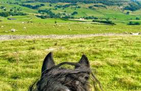Charming dog-friendly Yorkshire Dales Cottage, Austwick - Foto 39