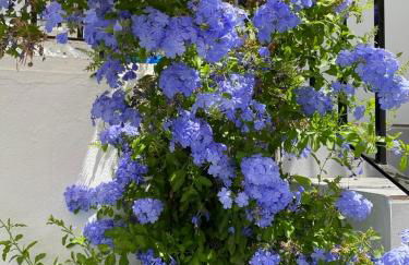 Casa Bella - Sleeps 8 with Pool - Foto 12