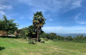 Masia Sa Calma - La Tribu - Foto 16