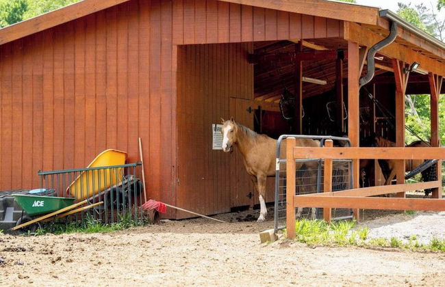 Fairview Vista by Avantstay 10 Mins to Asheville - Photo 43
