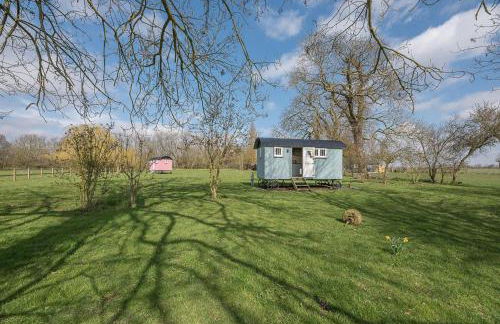 Sage Shepherds Hut Boundary Farm, Framlingham - Foto 8