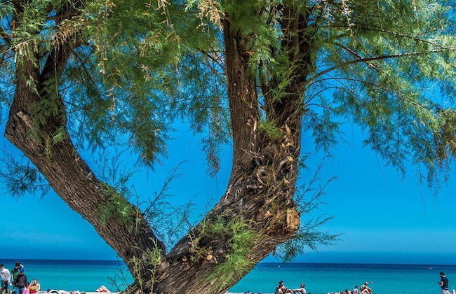 La Casa di Sara a Mondello by Wonderful Italy - Foto 17