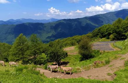 Terra Del Bosco Agriturismo - Foto 25