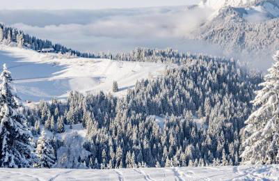 Très bel appartement au gets - Foto 33