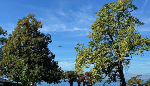 Ferienwohnung Seeperle49 WG2 - Besonders, stilvoll mit eigenem Badestrand - Photo 2