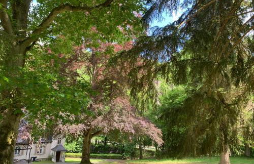 Landsitz Kammerburg - Foto 33