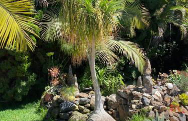 Tijarafe 2 - Foto 38