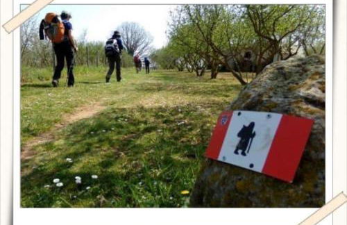 agriturismo il poderetto - Foto 76