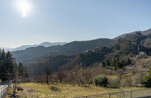 Melograni 2 - Foto 14