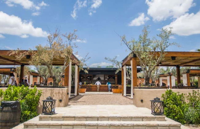 Visita a un viñedo de San Miguel de Allende - Foto 6