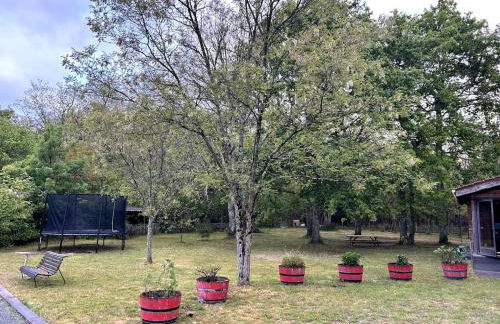 Chalet en bois sur grand parc arboré tout proche de l océan - Foto 33