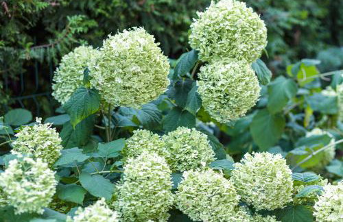 Apartament z tarasem - Foto 13