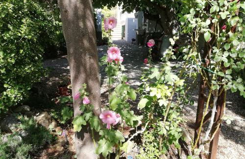 Cortijo Los Abedules - Foto 20