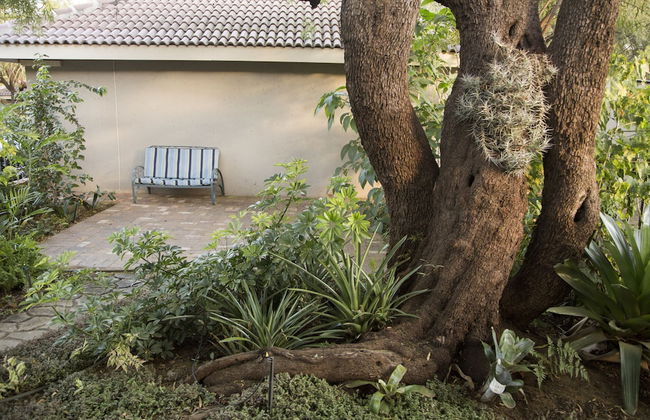 Nehema Manor - Foto 34