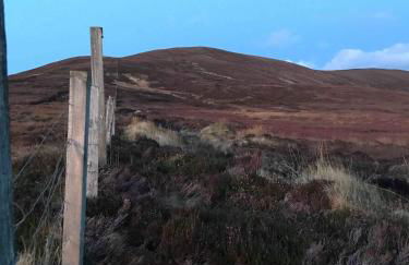 Scorrabrae Orphir Mainland Orkney South Shore Retreat - Photo 71