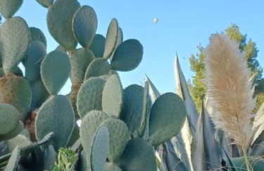 Casa del Riu - Foto 46