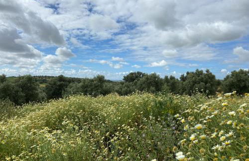 Hacienda Donaire Beas - Foto 62