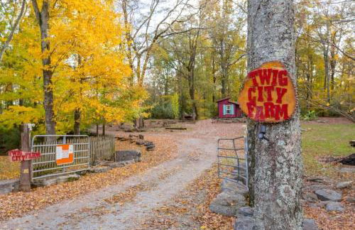 Hillbilly Chic Tiny House Near Nashville with WiFi, Kitchenette, Fire Pit & Trails - Foto 32