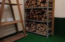 Los Cachorros - Foto 37