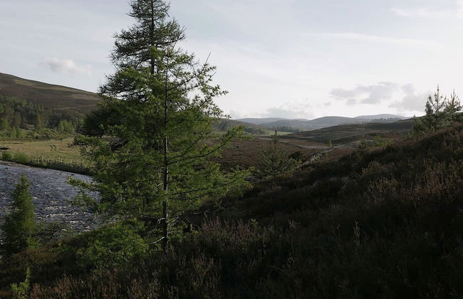 Gairnshiel Lodge - Unique Exclusive Lodge Next to the Castle - Photo 6
