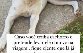 Pousada Fazendinha Beach Club Arraial do Cabo - Photo 39