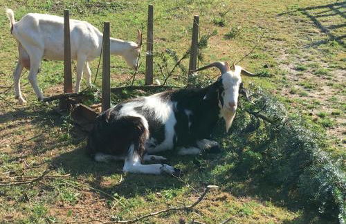 Gite Les Sources - Foto 25