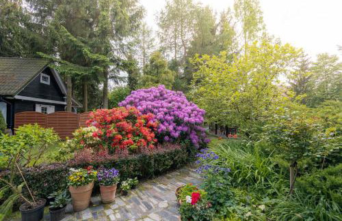 Black & White - Honey - Photo 22