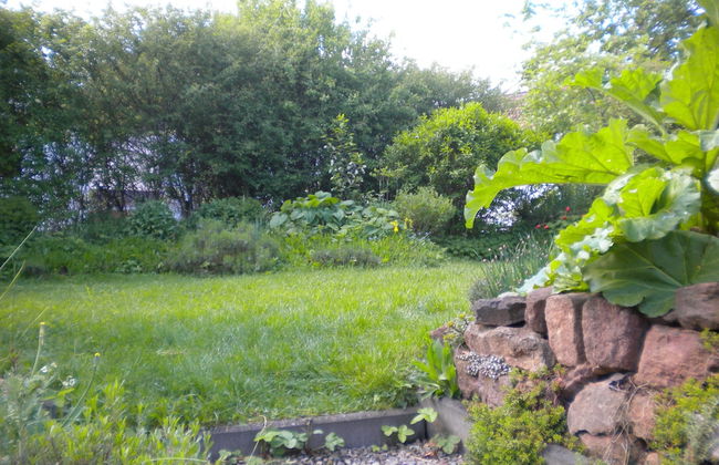 Eifelstüffje - Photo 11