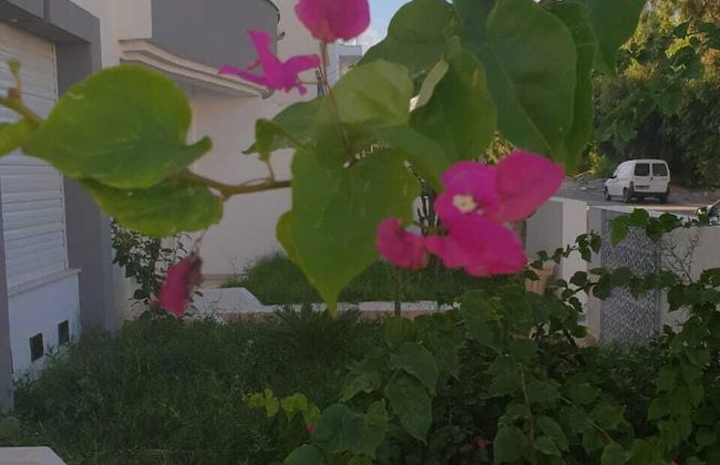 Residence Stern - Foto 57