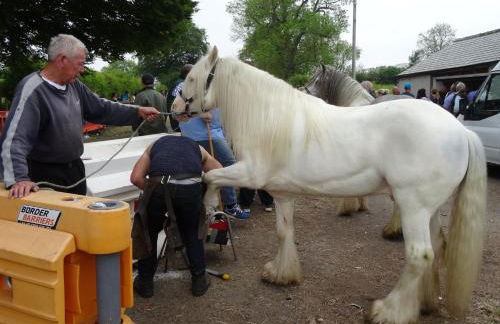 Kents Bank Holiday - Pet Friendly with Bay Views - Foto 69