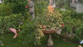 Condomínio Villaggio di Como - Foto 5