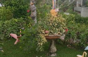 Condomínio Villaggio di Como - Foto 5