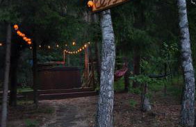 Głuszecki las - Foto 17