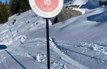 Les ARCS 1600 - SKI AUX PIEDS - MAGNIFIQUE DUPLEX 12 PERSONNES - Foto 43