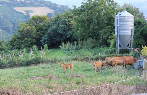 Amets etxalde - Foto 66