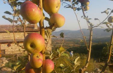 I Casali Di Colle San Paolo - Foto 68