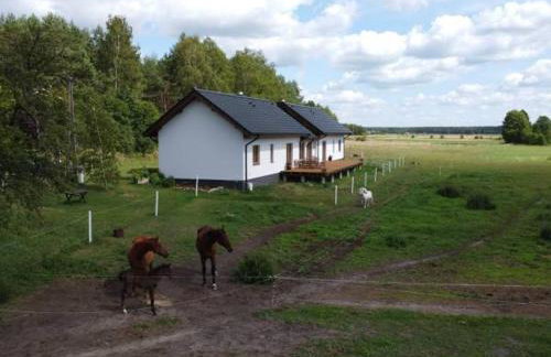 Agroturystyka Dom Skowronek - Foto 27