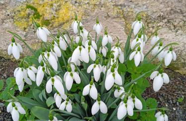 SIBO GITE en Périgord - Foto 19