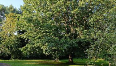 Maison de famille 8-9 personnes - Foto 3